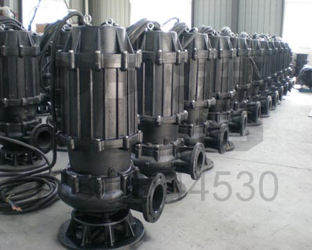 污水泵(7)